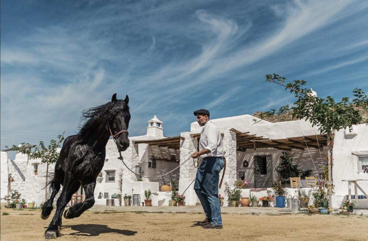 Rizes Mykonos - Folklore Farmstead Mykonos Town المظهر الخارجي الصورة